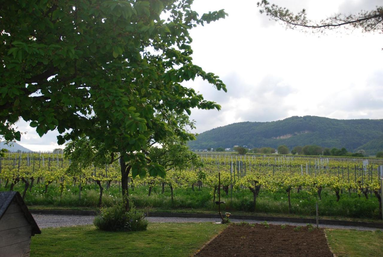 Gartenhaus Am Weinberg Appartement *