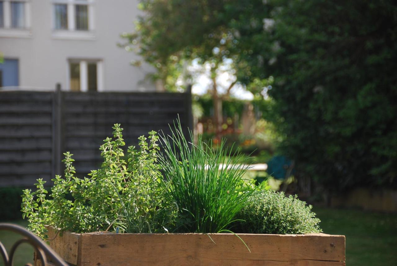 Gartenhaus Am Weinberg Apartment