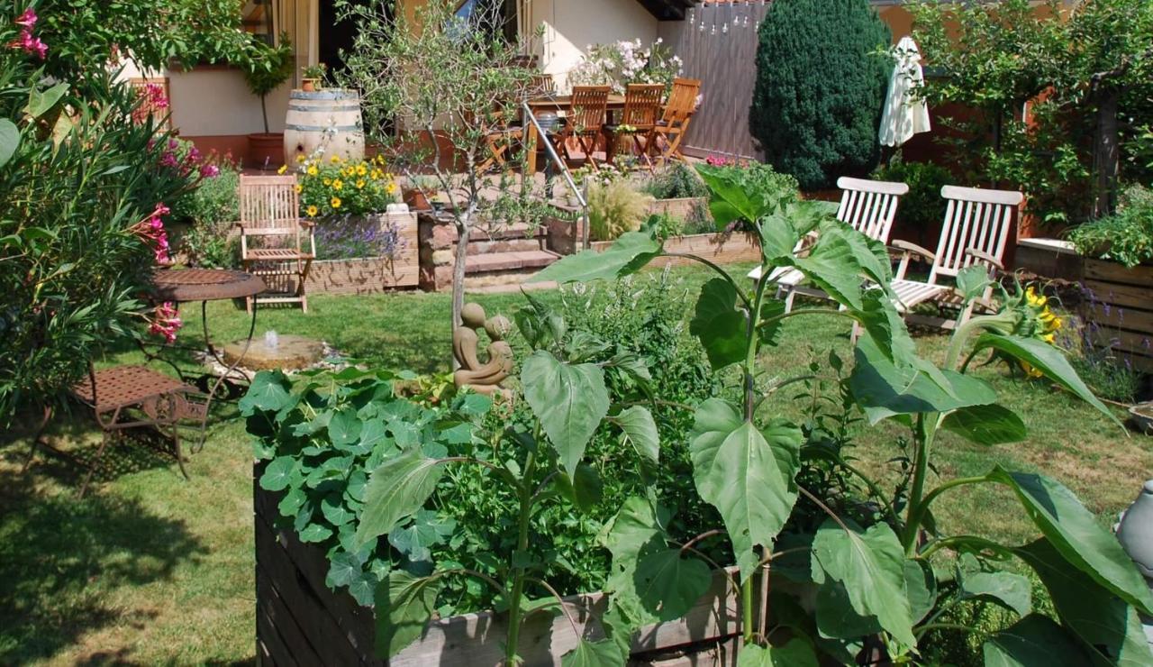 Gartenhaus Am Weinberg Appartement