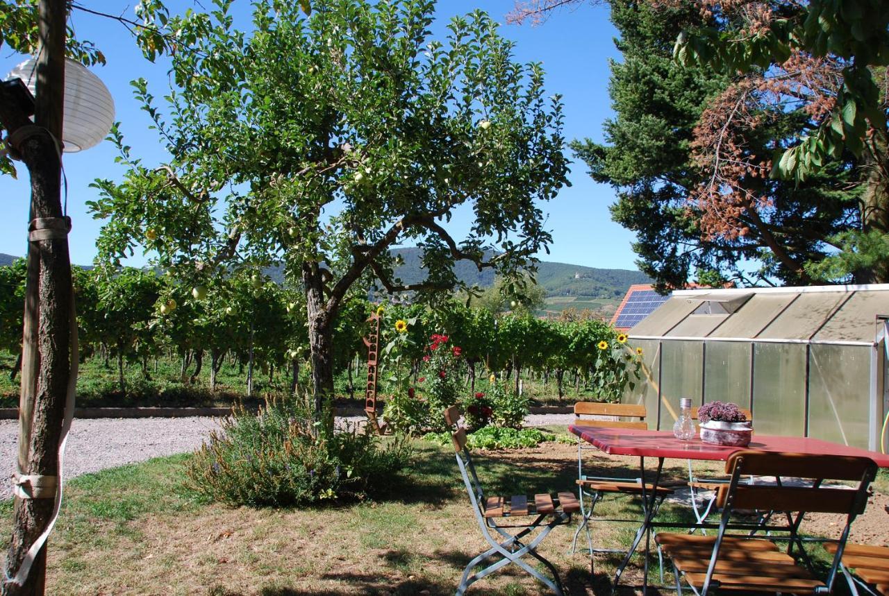 Gartenhaus Am Weinberg Apartment Bochingen