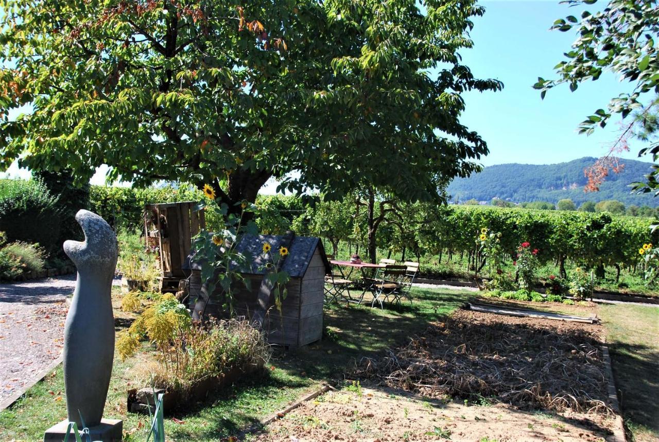 Appartement Gartenhaus Am Weinberg